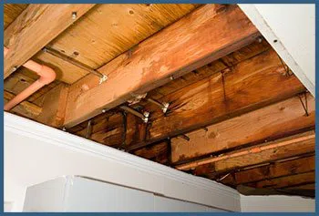 North Miami Beach Emergency Restoration North Miami Beach, FL 786-361-3944 North Miami Beach Emergency Restoration North Miami Beach, FL 786-361-3944 - serv-leaks-v2-wgr-14