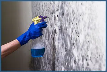 North Miami Beach Emergency Restoration North Miami Beach, FL 786-361-3944 - serv-mold-v2-wgr-14